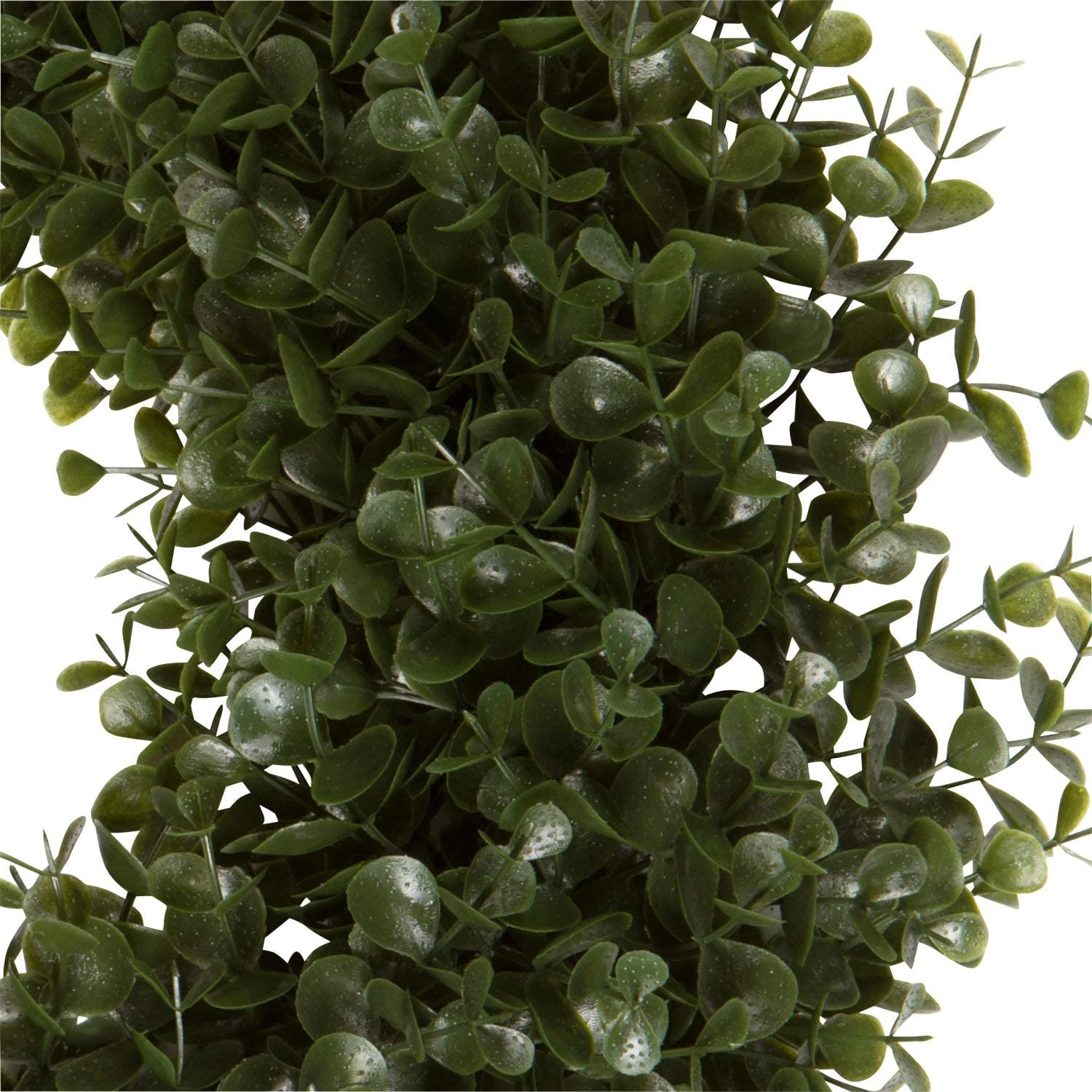 Orchid & Ivy 18-Inch Green Artificial Boxwood Wreath With Black/White Plaid Hanging Ribbon - Outdoor Indoor All-Weather Farmhouse Decor Front Door Wall Hanging Christmas Decoration 6 Orchid & Ivy 18-Inch Green Artificial Boxwood Wreath With Black/White Plaid Hanging Ribbon - Outdoor Indoor All-Weather Farmhouse Decor Front Door Wall Hanging Christmas Decoration - Image 6